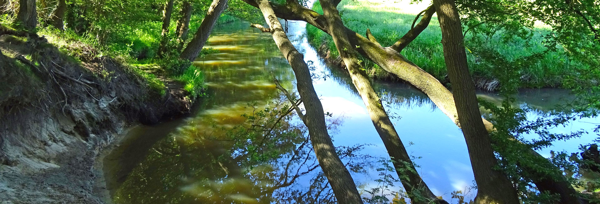 banner drentsche aa samen minder medicatie