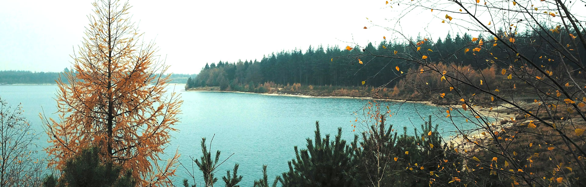 banner meer samen minder medicatie