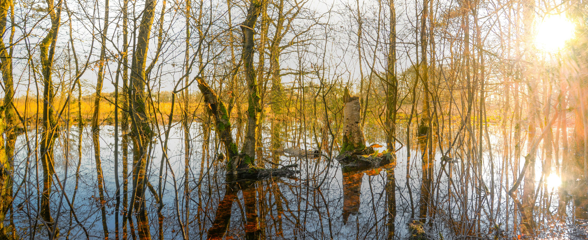 banner berken samen minder medicatie