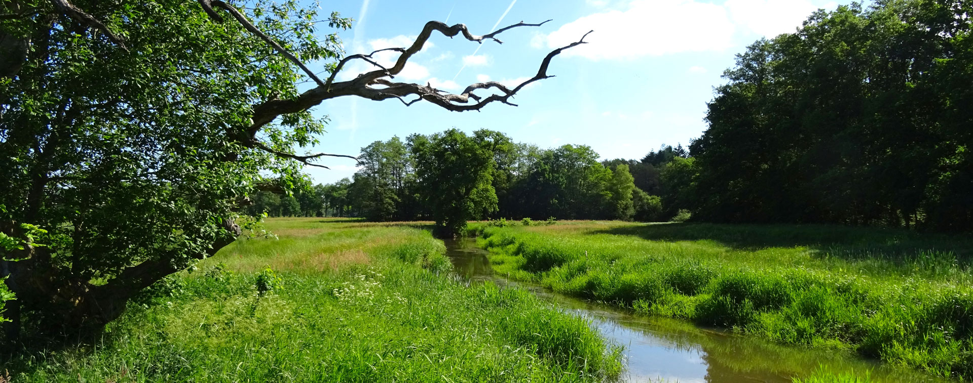 banner contact samen minder medicatie