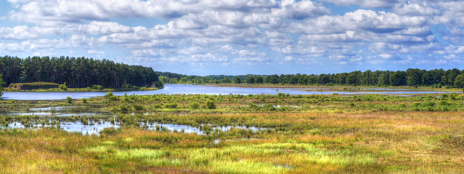 banner drenthe samen minder medicatie