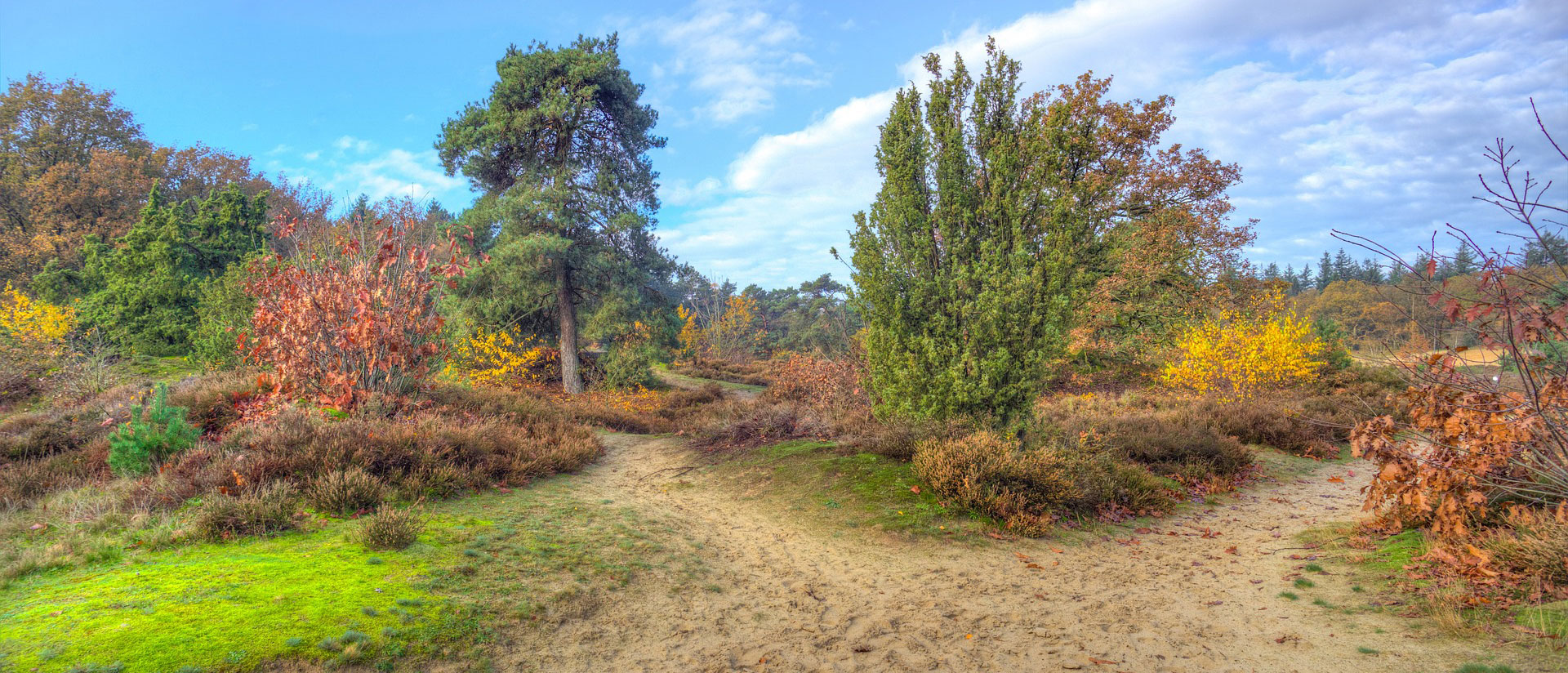 banner heide samen minder medicatie