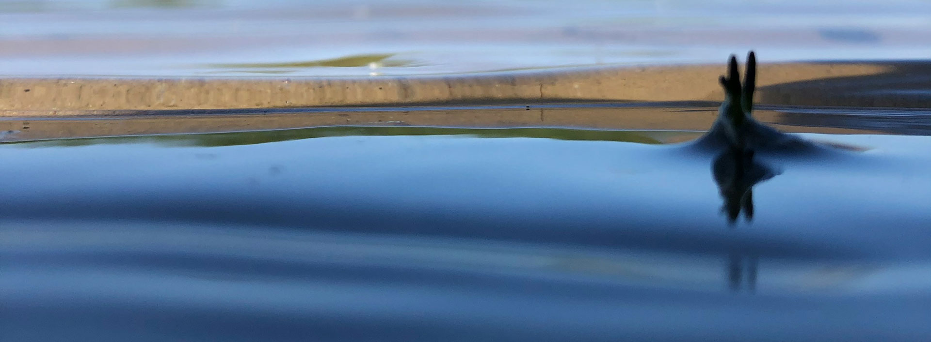 banner rimpel samen minder medicatie