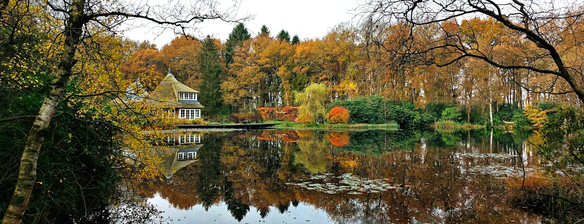 banner themas samen minder medicatie