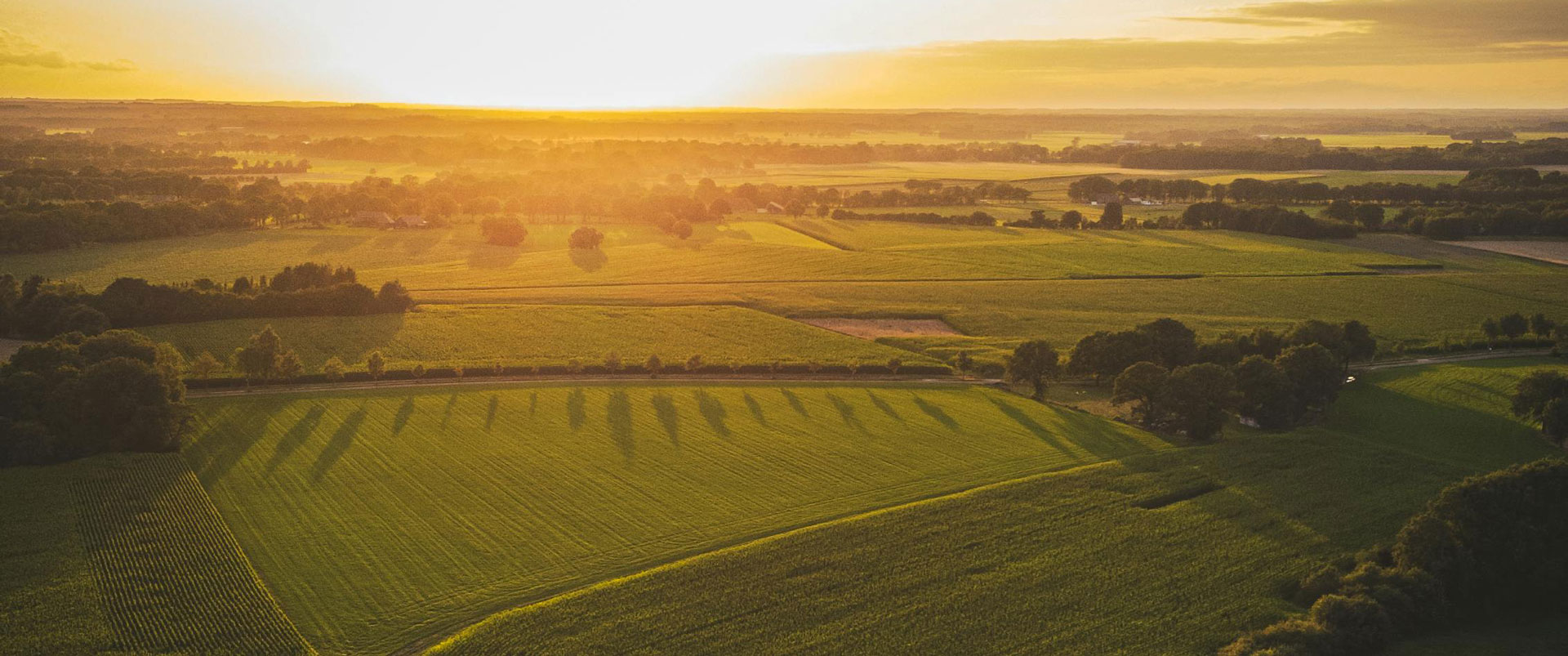banner qr code samen minder medicatie