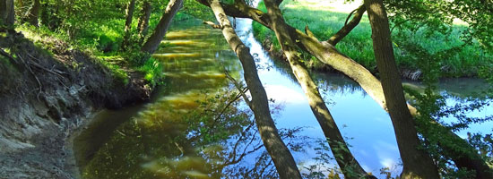 feat img drentsche aa samen minder medicatie