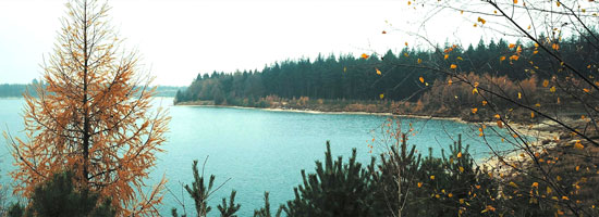 feat img meer samen minder medicatie