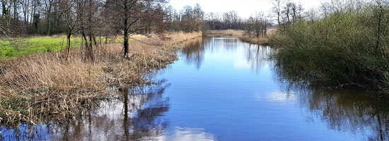 feat img oever samen minder medicatie