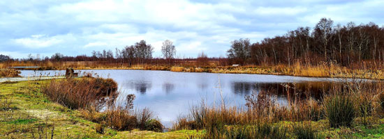 feat img ven samen minder medicatie